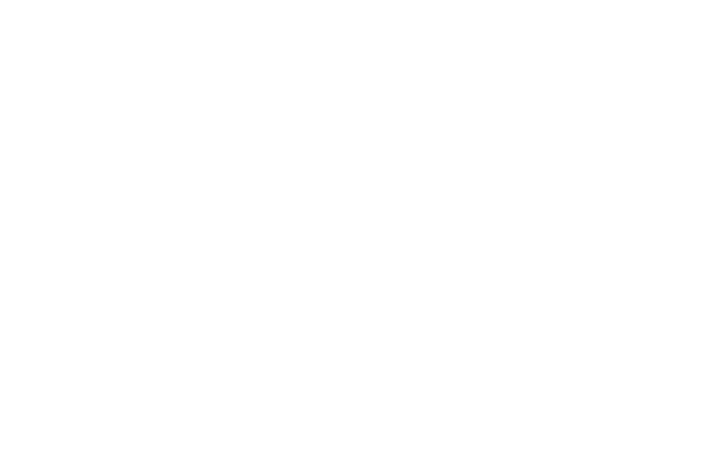 Nemo Logo White